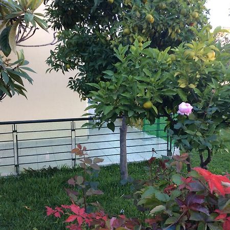 Ourania'S Apartments Καμένα Βούρλα Εξωτερικό φωτογραφία