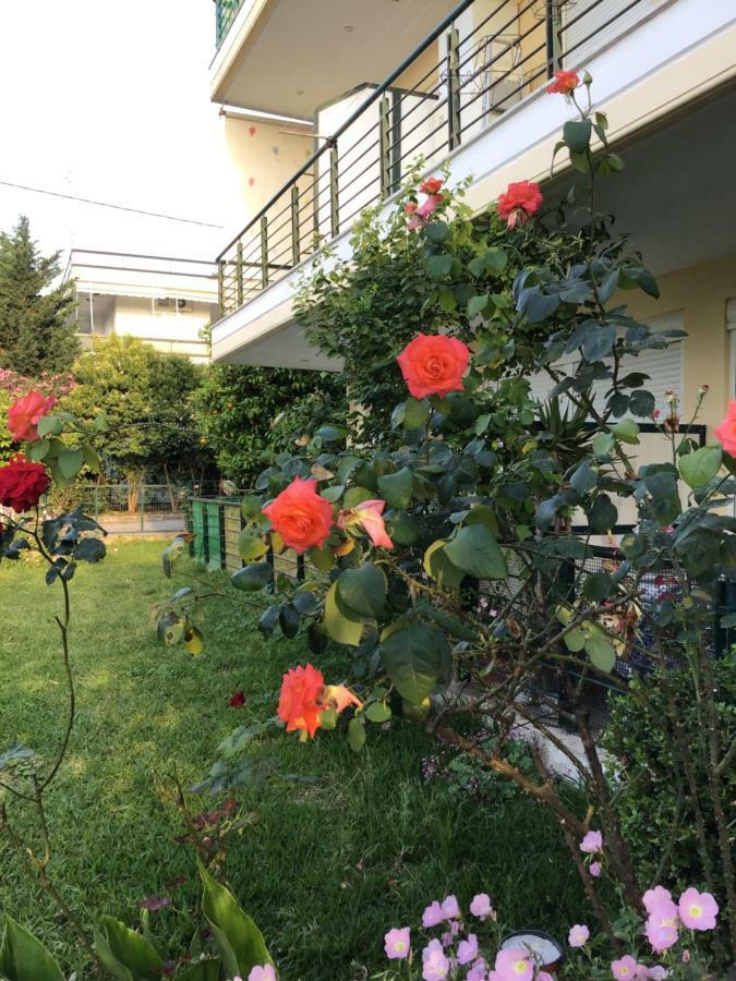 Ourania'S Apartments Καμένα Βούρλα Εξωτερικό φωτογραφία